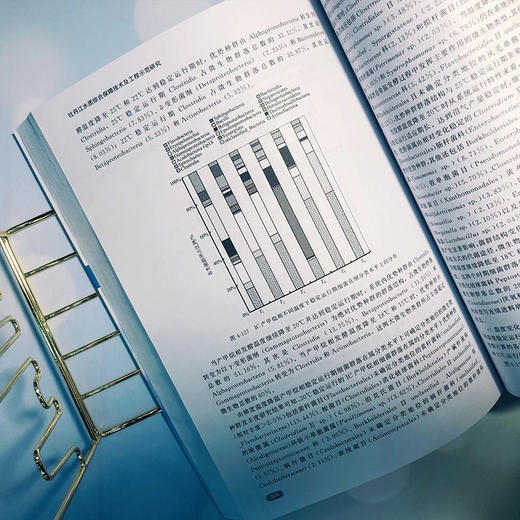 牡丹江水质综合保障技术及工程示范研究 宋男哲 于晓英 杜慧玲 环 商品图1