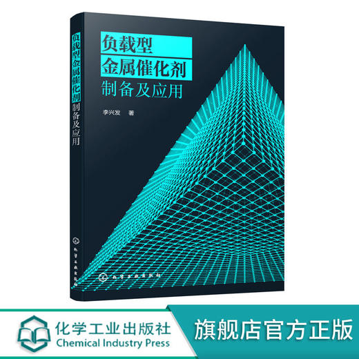负载型金属催化剂制备及应用 商品图0