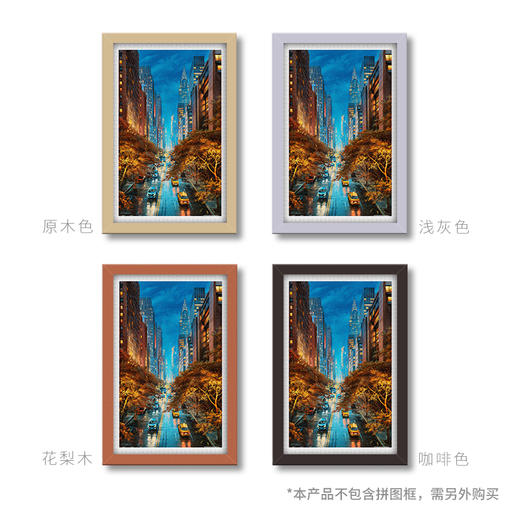 1000片 平面拼图 塑料拼图 H2334 Evgeny Lushpin-光之城市 商品图4