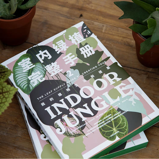室内绿植完整手册2劳伦卡米雷利 索菲娅卡普兰 著 养花书籍 植物小白 打造自己的植物风格 时尚生活家居设计Ins风 中信 商品图2