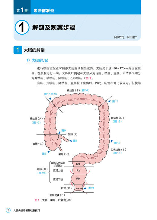大肠内镜诊断基础及技巧 日本肠镜名师答疑解惑 提高大肠病变的诊断水平 永田信二 冈志郎 编著 9787559118516 辽宁科学技术出版社 商品图2