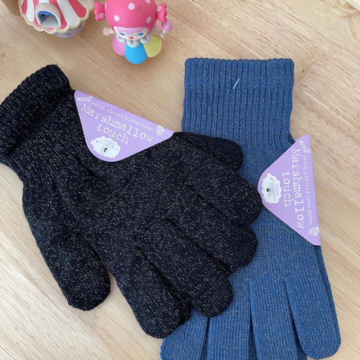 YJJ692  出口荷兰MUJJO触屏手套 商品图8