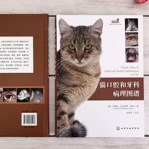 猫口腔和牙科病理图谱 商品图5