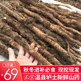 河南温县垆土铁棍新鲜山药5斤装 现挖现发 秋冬进补好食材