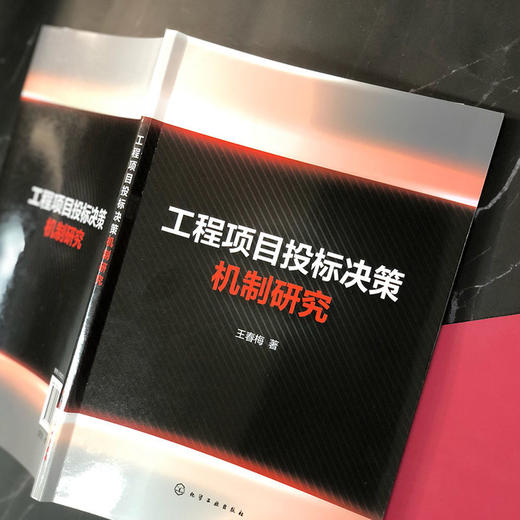 工程项目投标决策机制研究 工程行业承包商投标决策策略 投标决策 商品图2