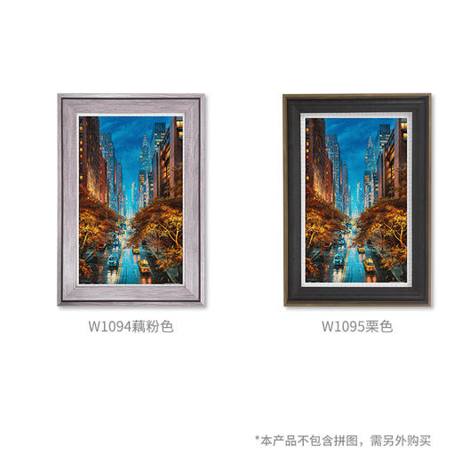 1000片 平面拼图 塑料拼图 H2334 Evgeny Lushpin-光之城市 商品图2