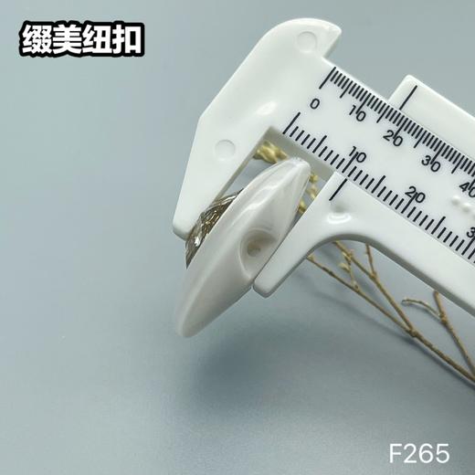 F265(整包购买) 商品图6
