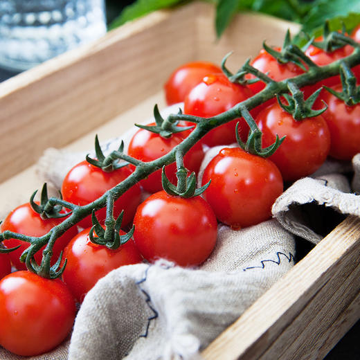 【果】俺爱红串果小番茄250g 商品图0