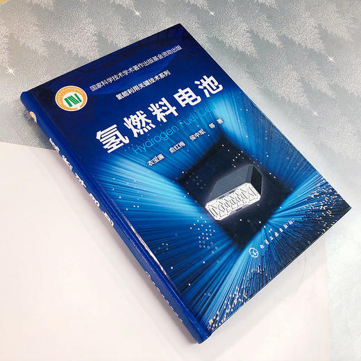 氢能利用关键技术系列 氢燃料电池 燃料电池催化剂 燃料电池基础 商品图1