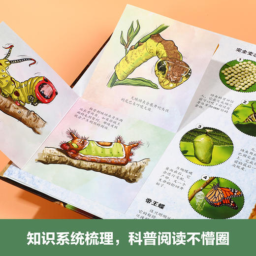 奇趣昆虫立体书   适读年龄：3+ 商品图3