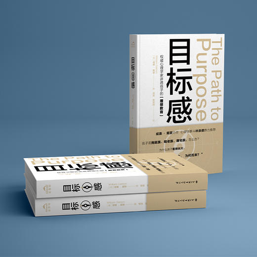 目标感 如何让孩子不迷茫 从小培养目标感如何让孩子不迷茫 从小培养目标感威廉·戴蒙力作 心理学林崇德 商品图3