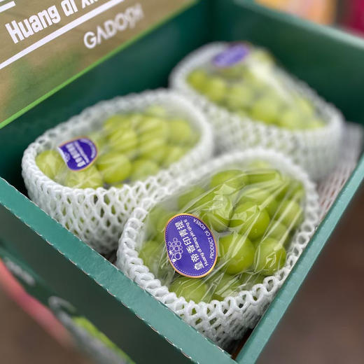 韩国🇰🇷晴王葡萄，超大颗粒甜度非常高的轻奢水果，自然成熟，果肉脆甜多汁，口感饱满独特 商品图10