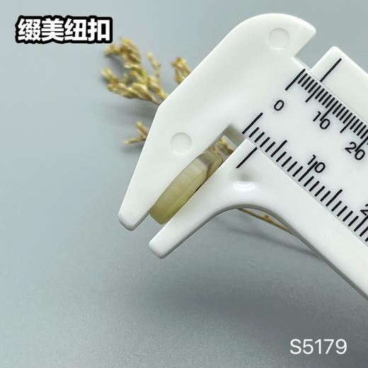 S5179(整包购买) 商品图7