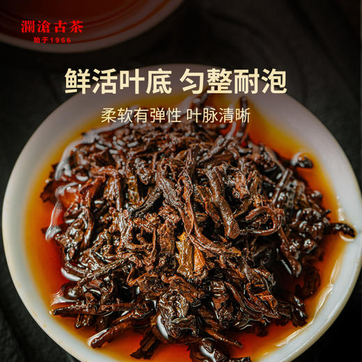 澜沧古茶时光仓老茶2018年压制曼弄普洱茶熟茶云南茶叶盒装350g 商品图4