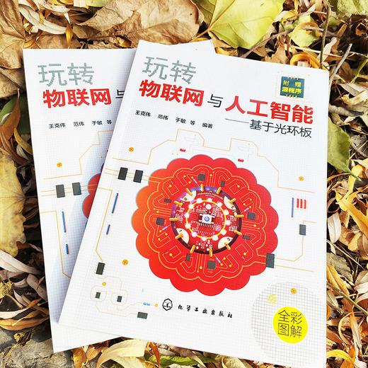 玩转物联网与人工智能 基于光环板 王克伟 商品图3