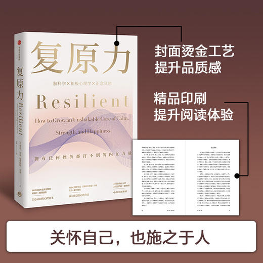 复原力 里克汉森 著  积极心理学 脑科学 收获幸福 面对逆境 心理资本中信出版社图书 正版 商品图3