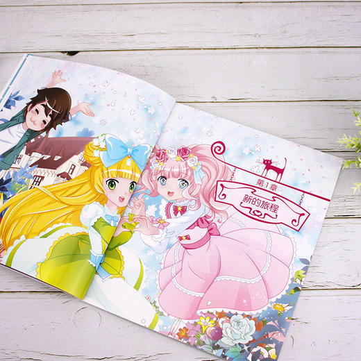 花国公主机智大冒险墨西哥仙人掌绑匪拼音版儿童文学畅销儿童书 商品图3