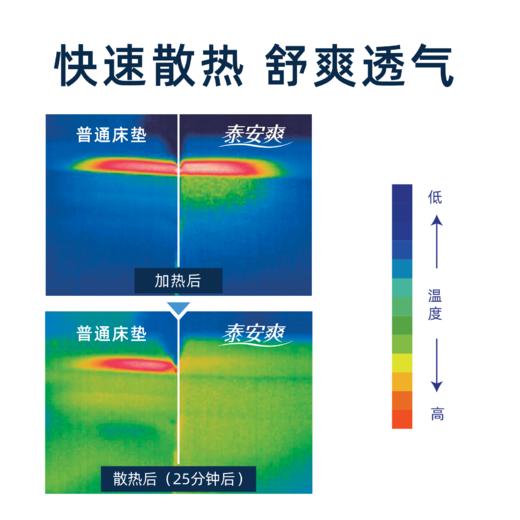 Taica日本泰安爽安睡减压床上垫轻便携式床垫防压疮防褥疮居家旅行熟睡榻榻米床垫泰已科 商品图3