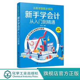 从新手到高手系列 新手学会计从入门到精通 陈晟