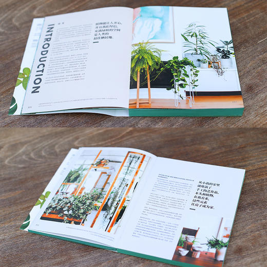 室内绿植完整手册 我的植物生活新提案 劳伦卡米雷利 著 科学养护绿植 塑造空间美学 商品图3