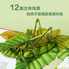 奇趣昆虫立体书   适读年龄：3+ 商品缩略图1