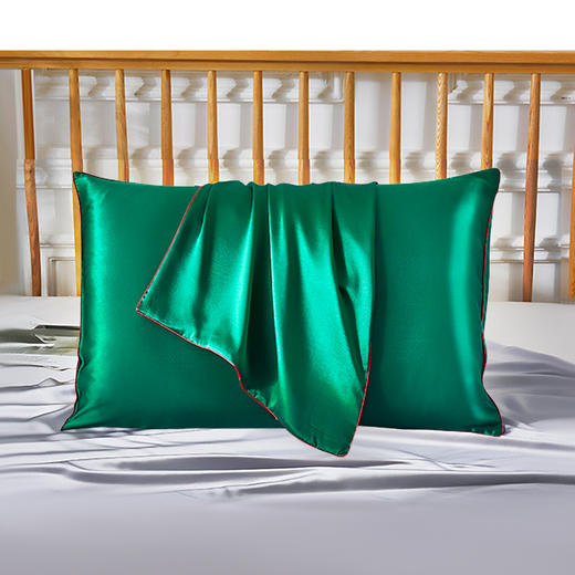 太湖雪真丝枕套19姆米桑蚕丝可水洗枕头套单只 商品图0