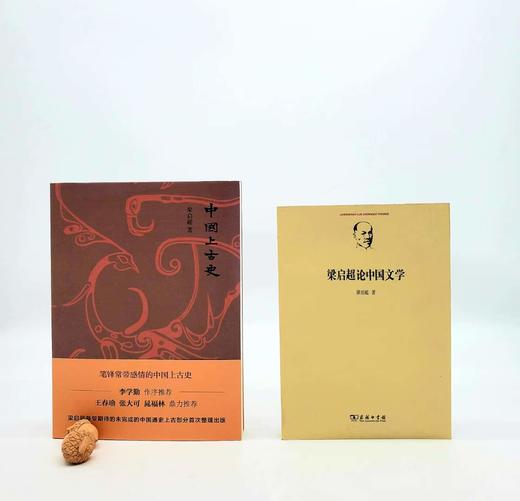 《中国上古史》《梁启超论中国文学》，梁启超著，商务印书馆D 商品图0