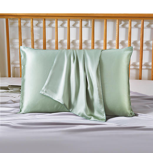 太湖雪真丝枕套19姆米桑蚕丝可水洗枕头套单只 商品图3