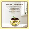 80片 盆栽拼图 K1058 PomPomPurin 转圈圈 商品缩略图3