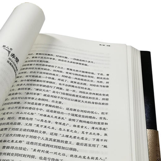 建安十三年：后汉三国的历史大转折与大变局 商品图3