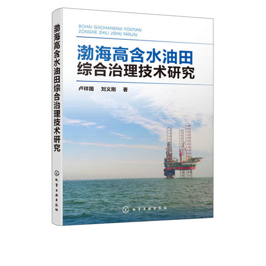渤海高含水油田综合治理技术研究 卢祥国 刘义刚 石油开发技术管 商品图4