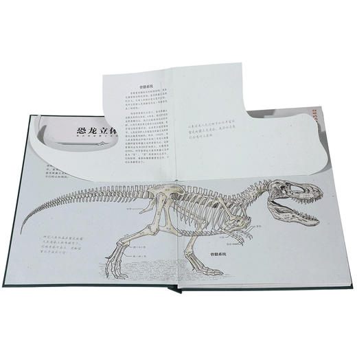 【毛豆妈】恐龙立体书：解剖探索霸王龙的奥秘 烫金定制版 商品图3