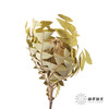 干花 ｜ 班克木 商品缩略图4