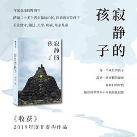 寂静的孩子 袁凌 著 非虚构 现代文学 四年走访、探察、记录、沉淀 城乡儿童的生存困境 中信出版