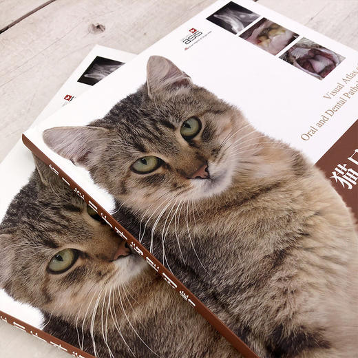 猫口腔和牙科病理图谱 商品图3