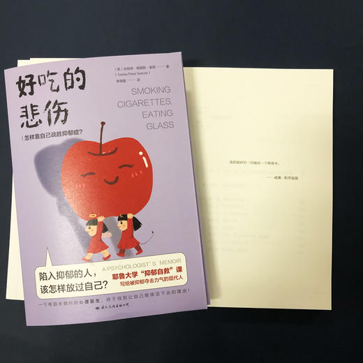 好吃的悲伤 安妮塔·佩雷斯·索耶 著 耶鲁大学“抑郁自救”课  一个心理医生战胜抑郁症的自愈故事 心理学 商品图4