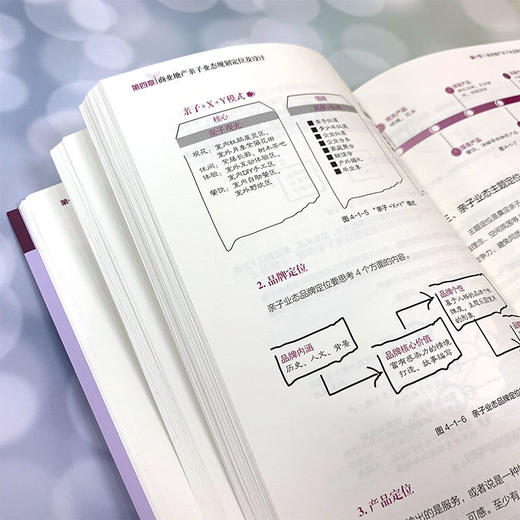 商业地产高人气业态运营手册 商品图2