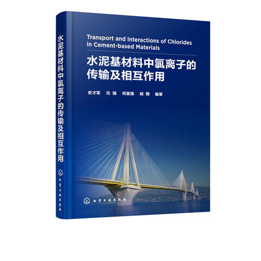 正版 水泥基材料中氯离子的传输及相互作用 水泥混凝土材料 钢筋 商品图4