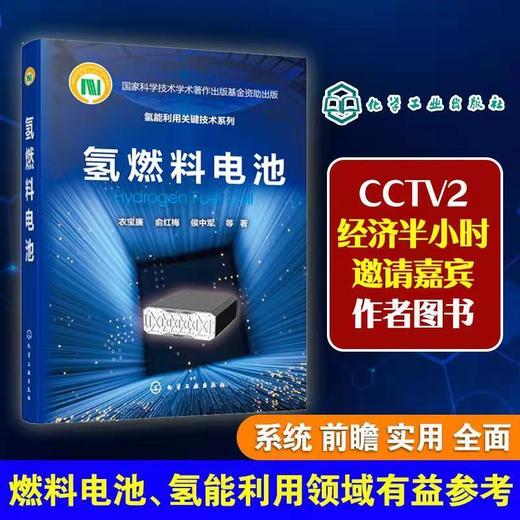 氢能利用关键技术系列 氢燃料电池 燃料电池催化剂 燃料电池基础 商品图0