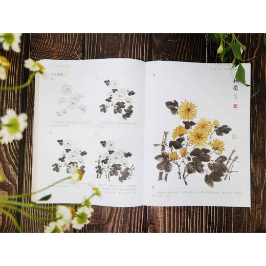 国画入门基础教程 国画初级学习入门教程 中国画基本常识技法 美 商品图3