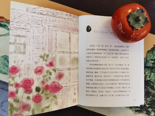 四合院活物记 崔岱远 著 描摹四合院里街坊邻里的生活百态 展现老北京的历史文化 商务印出版 传统文化  京味儿 京范儿 吃货辞典 商品图2