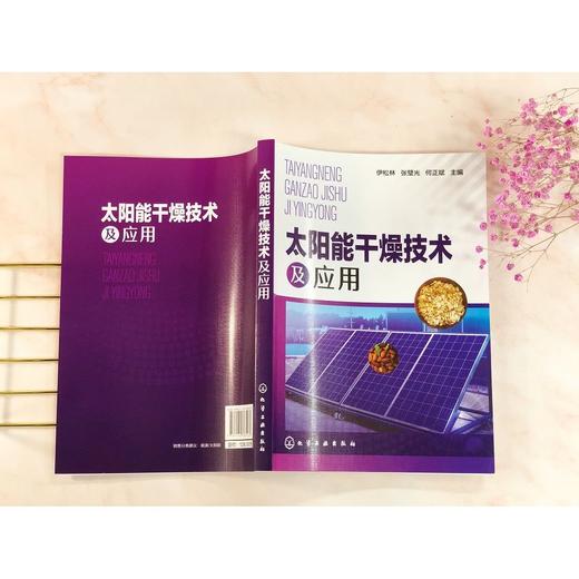太阳能干燥技术及应用 太阳能干燥基础知识太阳能集热装置供热系 商品图2