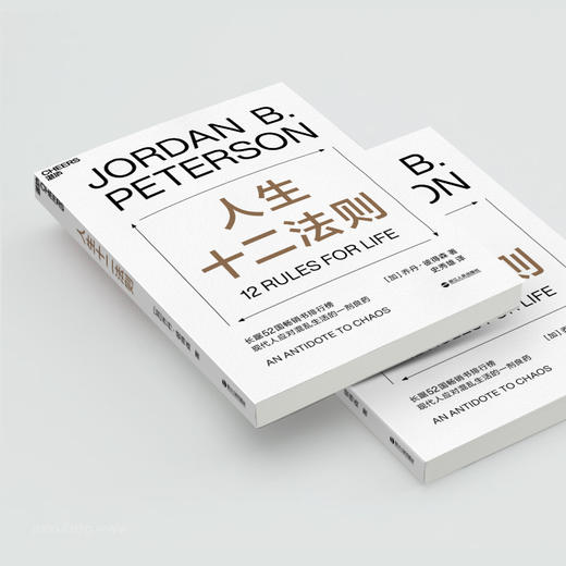 人生十二法则 乔丹 彼得森 【龙虾教授推介】 12 rules for life12条法则 解决人生80%的不如意 带你摆脱混乱生活 成功励志 商品图3