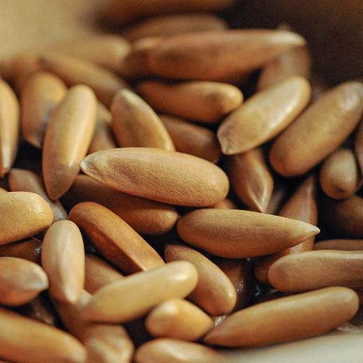 【2025新货！巴西松子】 颗粒饱满，壳薄易剥，粒粒香醇。180克/罐，全场满88元江浙沪皖顺丰包邮~ 商品图3