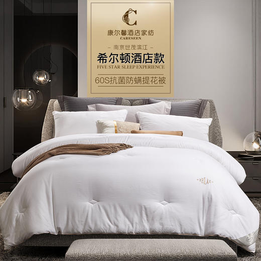 康尔馨 世茂希尔顿铭逸kang 菌纤维被 商品图0