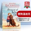 傻狗温迪克 英文原版 Because of Winn Dixie 都是黛茜惹的祸 纽伯瑞银奖小说 儿童文学书籍 商品缩略图0