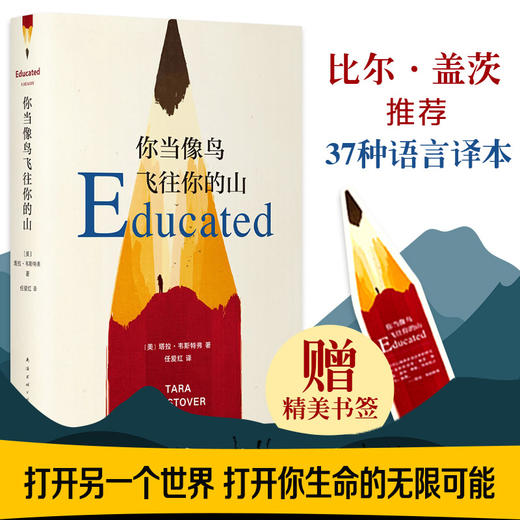 你当像鸟飞往你的山 塔拉·韦斯特弗著 比尔·盖茨年度图书作品比尔盖茨女性暖心励志外国文学豆瓣2019年度好书 商品图0