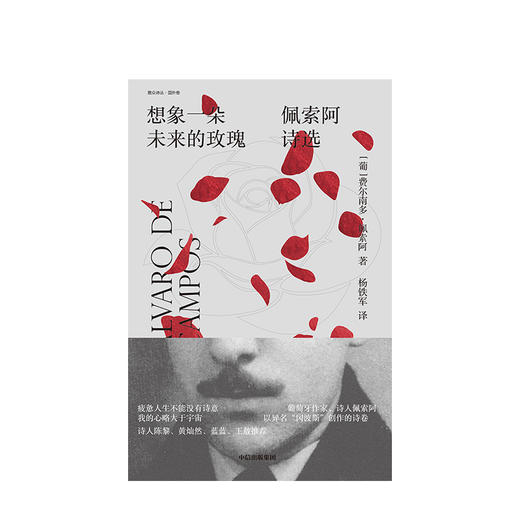 想象一朵未来的玫瑰 2019深圳读书月年度十大好书，葡萄牙作家、诗人费尔南多·佩索阿诗集 商品图1