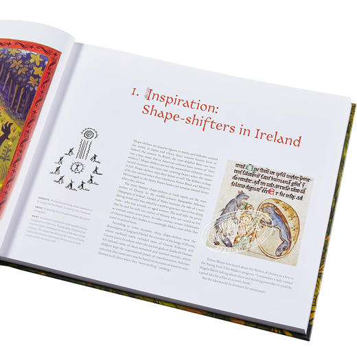 预售 【中商原版】狼行者 动画电影艺术设定集 英文原版 The Art of WolfWalkers Charles Solomon James Baxter 商品图4