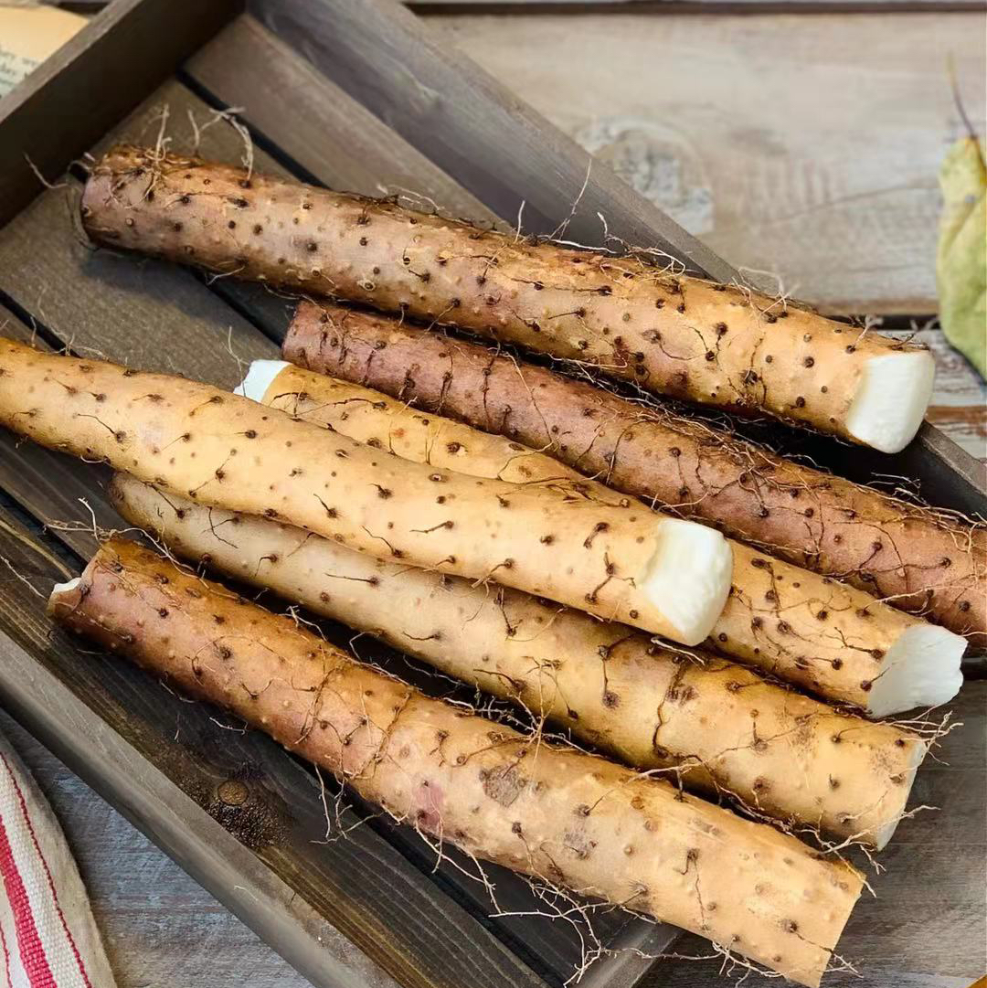 温县 垆土 铁棍山药